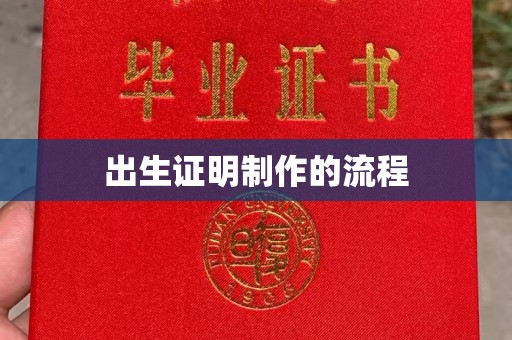 修文出生证明制作的流程